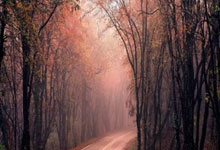 捷克队胜出关键战役，跻身晋级行列