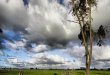 激发团队潜力，女足比赛屡获胜绩