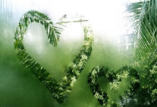 圣马力诺队不甘示弱，战胜困境见证奇迹