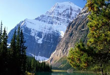 阿尔及利亚队势不可挡，高歌猛进