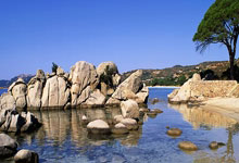 热刺顽强逆转，晋级前景大利